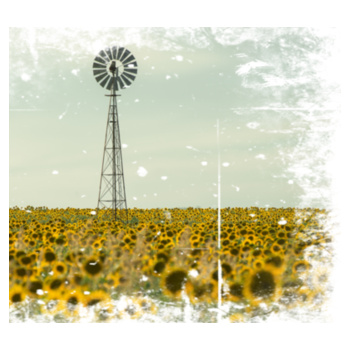 SUNFLOWER PILLOW Design