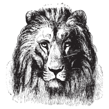 Lion Frosted Glass Beer Mug Design