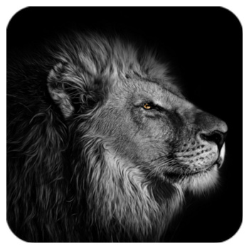 LION Square Coaster Design