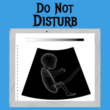 Do Not Disturb Womens Silhouette Tee Design